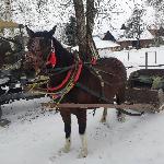 Liczbana - Liczbana 22.01.2022