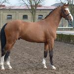 Deep Impact