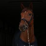 Lindor B
