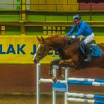 Amieke<br />&copy; Ryszard Mościcki
