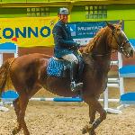 Amieke<br />&copy; Ryszard Mościcki