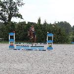 Cartaroni Star