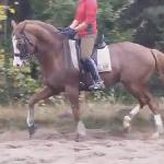 Luxus