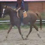 A Prodigy Angel Phine - rok 2011<br /><i>Kadr z filmu na youtube</i>
