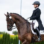 Dreamer<br />&copy; Julia Świętochowska<br /><i>fb Dressage24.pl</i>