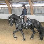 Rink FB20 (Rink van Hestegaarden)