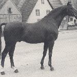 Kornett II