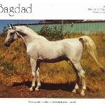 Bagdad