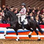 Beltsjeblom R.