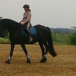 Liefke van de Warna Hoeve