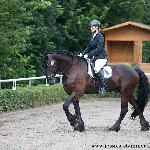 Freerk van Fiecus Hoeve