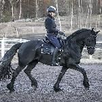 Maaike fan it Hiem