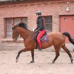 Woniek
