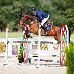 Sibilla<br /><i>http://interhorse.pl/wp-content/uploads/2019/09/DSC_7293-2-ma%C5%82e.jpg</i>