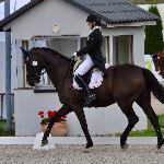 Da Capo 163<br /><i>fb Dressage24.pl</i>