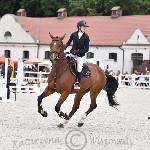Rufus<br />&copy; Katarzyna Wiszowaty