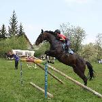 Figo