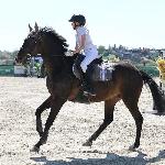 Figo