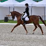 Bentamo 2<br /><i>fb Dressage24.pl</i>