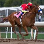 Justify