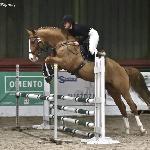 Jakson<br />&copy; Katarzyna Wiszowaty