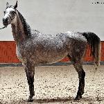 Elgeria - październik 2019<br />&copy; Anna Pyzara-Nakoniechnaia