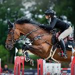 Nirvaro<br />&copy; fb Anna Przybył - equine & dog photography