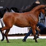 Basilia - sierpień 2019<br />&copy; Anna Pyzara-Nakoniechnaia