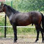 Ernani - Lipiec 2019<br />&copy; Anna Pyzara-Nakoniechnaia