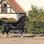 Trojan-Ś