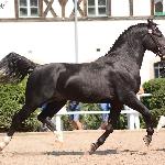 Trojan-Ś