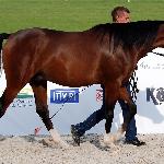 Ames JR - sierpień 2018<br />&copy; Anna Pyzara-Nakoniechnaia