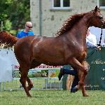 El Bellisima - czerwiec 2019<br />&copy; Anna Pyzara-Nakoniechnaia