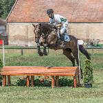 Chiquita - Baborówko Horse Sale Show 2018<br />&copy; M&R Photo