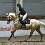 Galahad SM<br />&copy; Katarzyna Wiszowaty