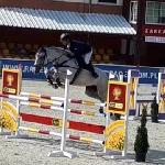 Wiena