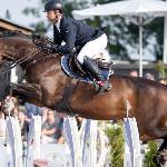 Courtney 11<br /><i>https://pbhorses.pl/konie/#tab-1655897953013-3</i>
