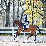 Gold Q-3 - Gold Q-3 & Ewelina Gos - Biały Las 2023<br />&copy; Katarzyna Broda (faraa)