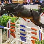 Charisto van de Heffinck ex. Charisto