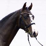 Quabrie