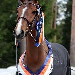 Quarante ex Quanto