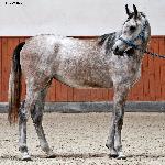 Emilia Złota - październik 2019<br />&copy; Anna Pyzara-Nakoniechnaia
