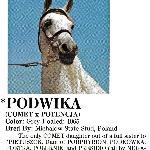 Podwika