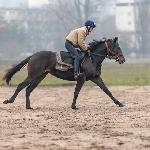 Teleia - Teleia trening<br />&copy; Monika Metza-Jodłowska