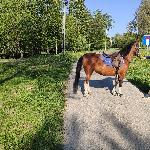 Pociesza - Pociesza 18.05.2020