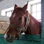 Brynica - styczeń 2019<br />&copy; Anna Pyzara-Nakoniechnaia