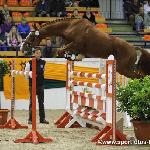 Rusticus