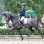 Hopkins ex. Hofritter