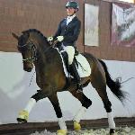 Apollon