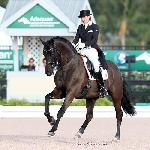 Don Noblesse / Harmony's Don Noblesse